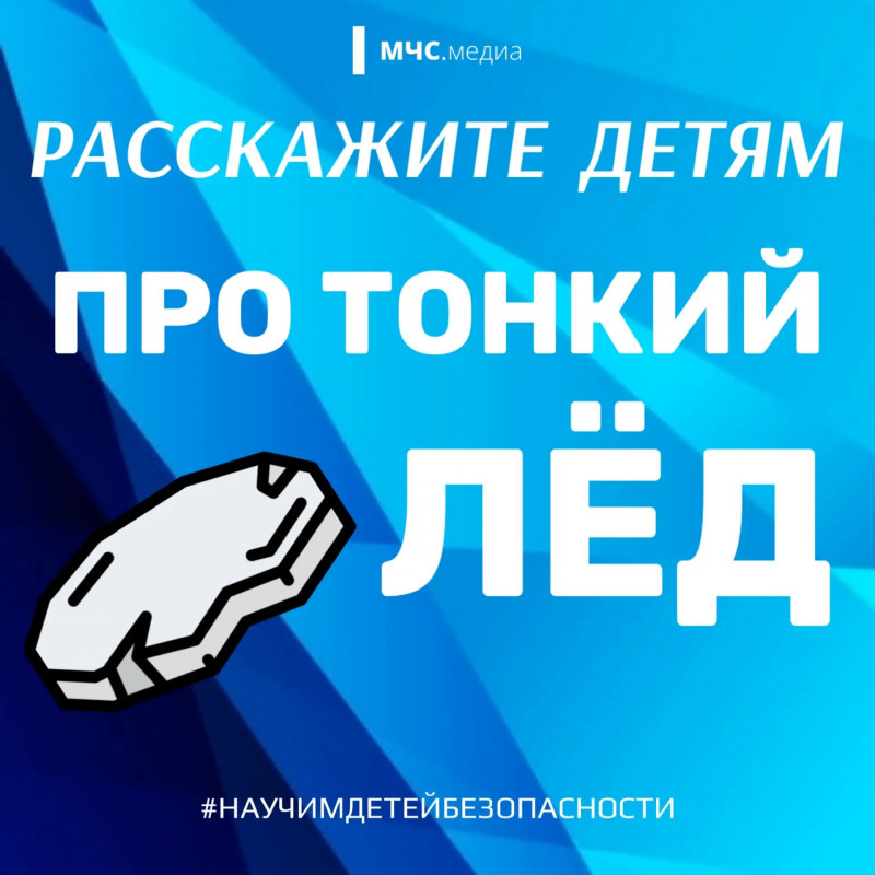 Фото новости